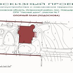 Ландшафтный дизайн участка -  РЯБИНА обыкновенная